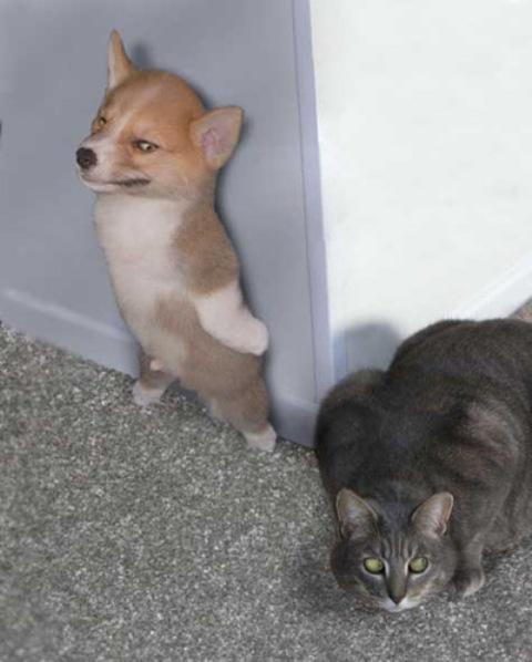 Funny